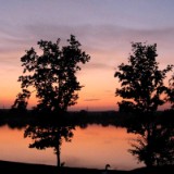 0909F 114 Mainparksee